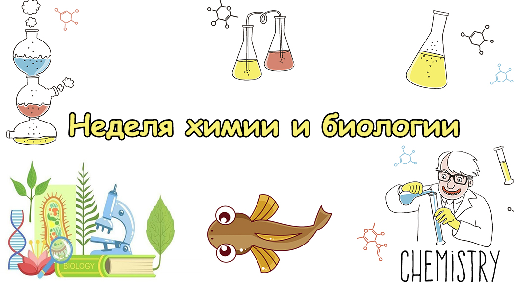 Неделя  химии и биологии